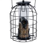 Seed Bird Feeder