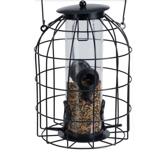 Seed Bird Feeder