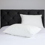 Tencel Quilted Pillowcase Protector Pair - White 