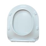 Soft Closing D Shape Toilet Seat