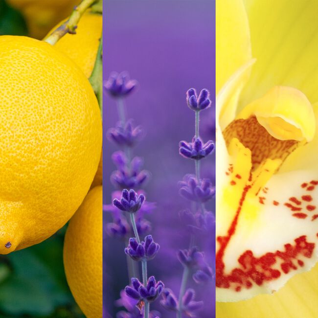 Yankee Candle® Essential Oil Lemon Lavender