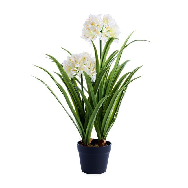 Artificial African Lily Flowers 70cm 