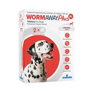 Wormaway Plus XL Dog Tablets 
