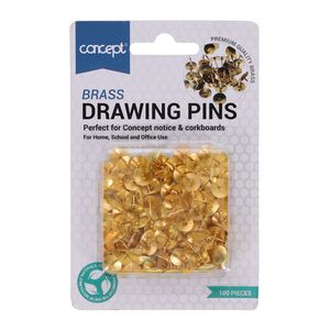 Concept 100Pk Brass Push Pins