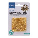 Concept 100Pk Brass Push Pins