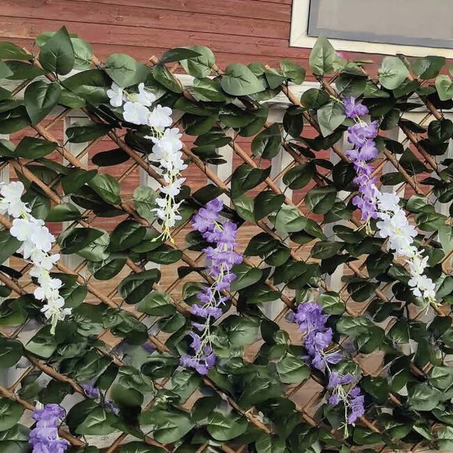 2m x 1m Wisteria Trellis
