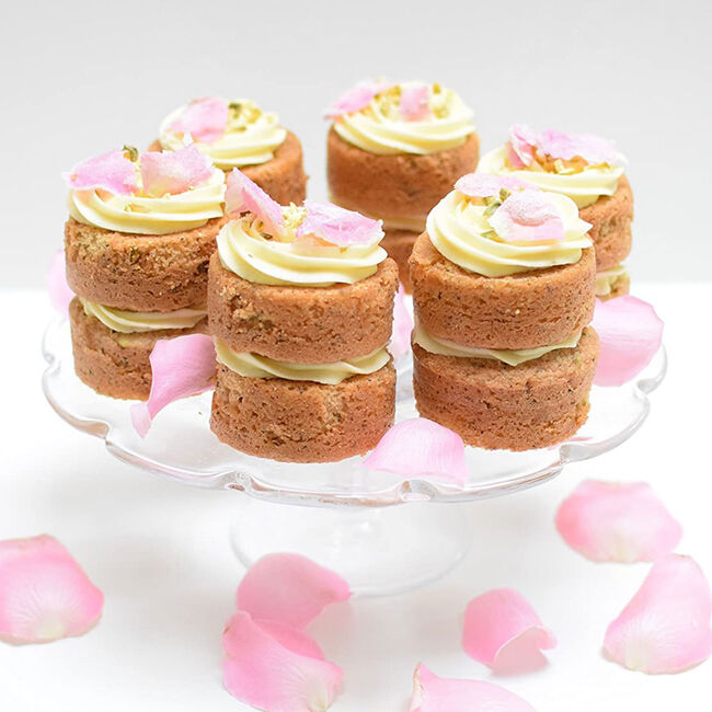 Tala Icing bags 6 Nozzles Scraper and Brush