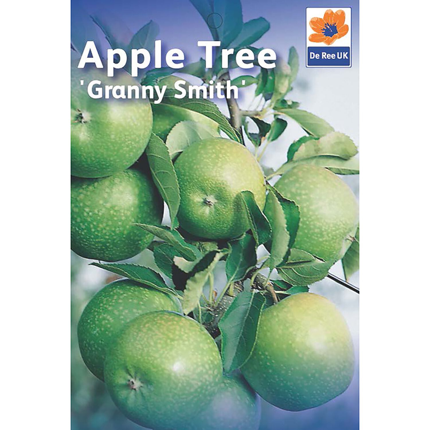 Granny Smith Apple Tree Home Store + More