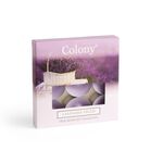 Colony 9 Scented Tea Lights - Lavender Fields