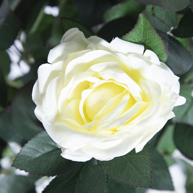 Artificial White Rose Tree 1.2M