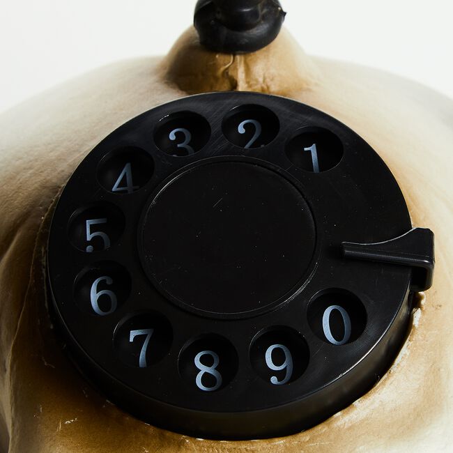 Light Up Talking Skull Telephone