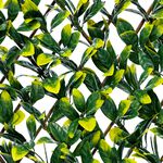 Laurel Willow Trellis 2M x 1M