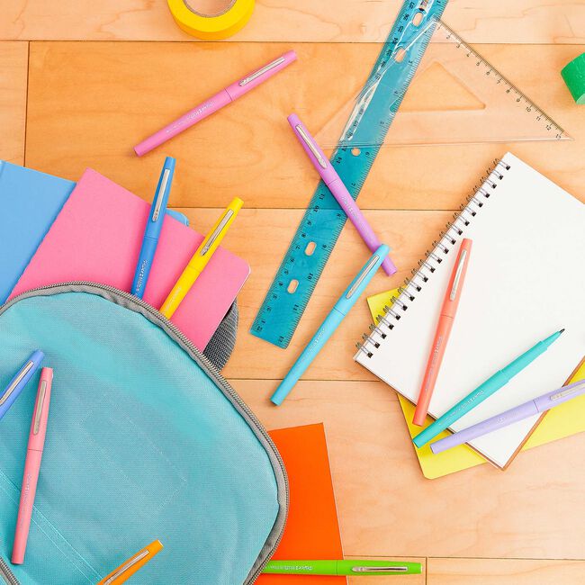 Paper Mate Flair Pastel 12 PCS Felt Tip Pens