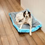 Large Double Sided Waterproof Pet Cushion