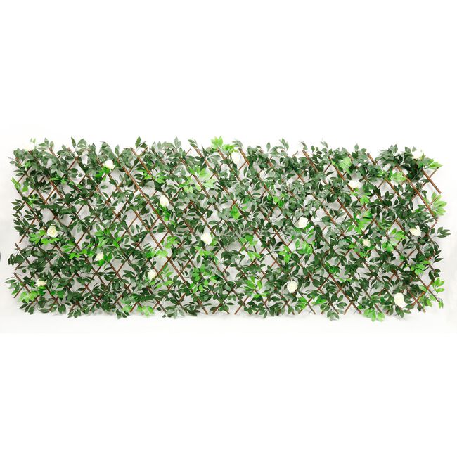 Rose Willow Trellis 2m