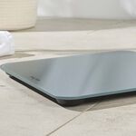 SALTER BLUE LCD Scales