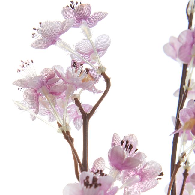 Prunus Purple Flowers Branch - 89cm