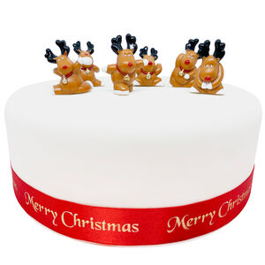 Fun Rudolph Cake Picks - 6 Pack