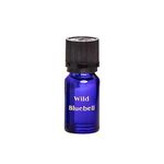 Ambianti Jewel Wild Bluebell Fragrance Oil