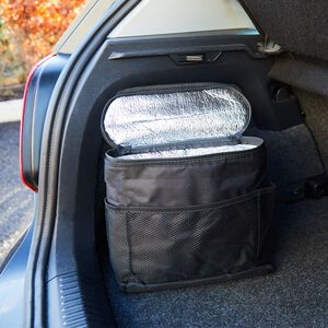 Car Travel Cooler Bag