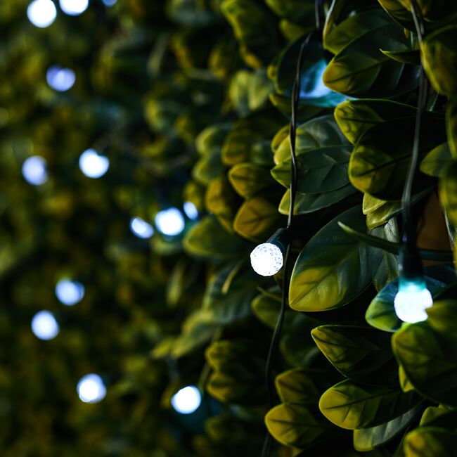 35 LED Novelty Solar String Lights