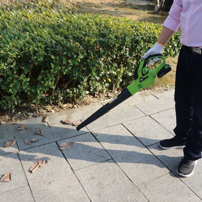 Rookhaven 20V Cordless Leaf Blower