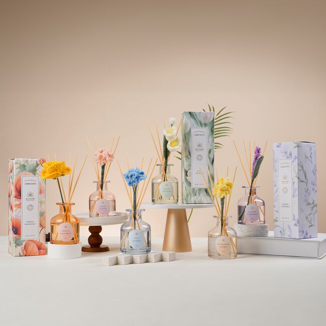 Ambianti Blossom Cactus Flower & Citrus Diffuser