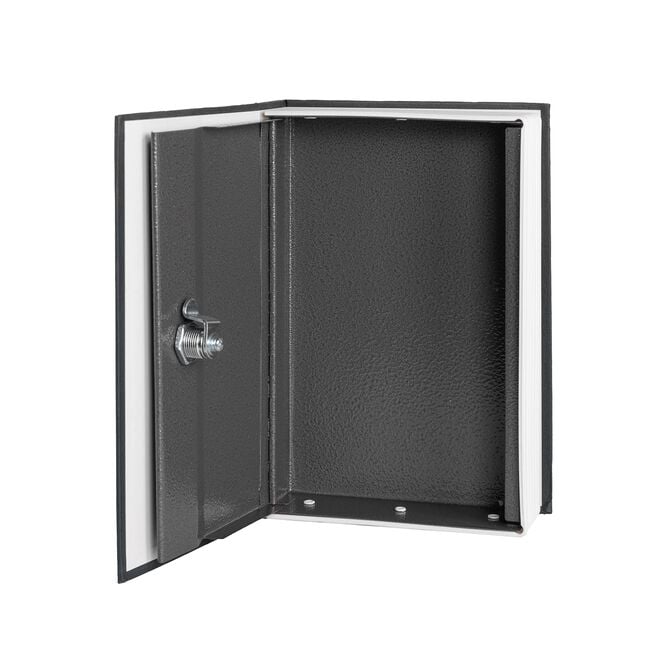 Dictionary Book Safe