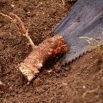 JML Y-shaped Dig Cut & Saw Shovel