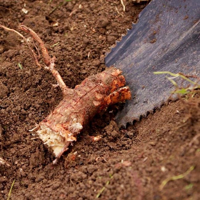 JML Y-shaped Dig Cut & Saw Shovel