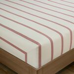 BRUSHED COTTON JOSEPH Single Fitted Sheet 