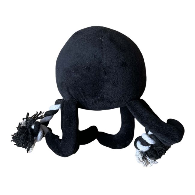 Spider Plush & Rope Dog Toy