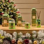 Cashel Living Frasier Fir 250g Candle