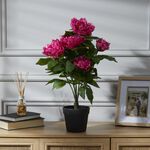 60cm Pink Peony Plant