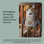 Tommee Tippee Ollie Owl Deluxe Baby Sleep Aid