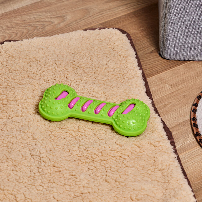 Smart Choice Dog Toy Squeaker Bone - Assorted