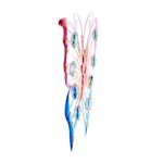 Pink & Blue Butterfly Wall Art