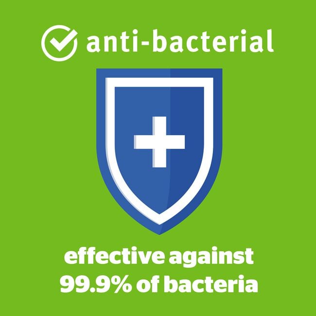 Silentnight Anti-Allergy Pillow Pair