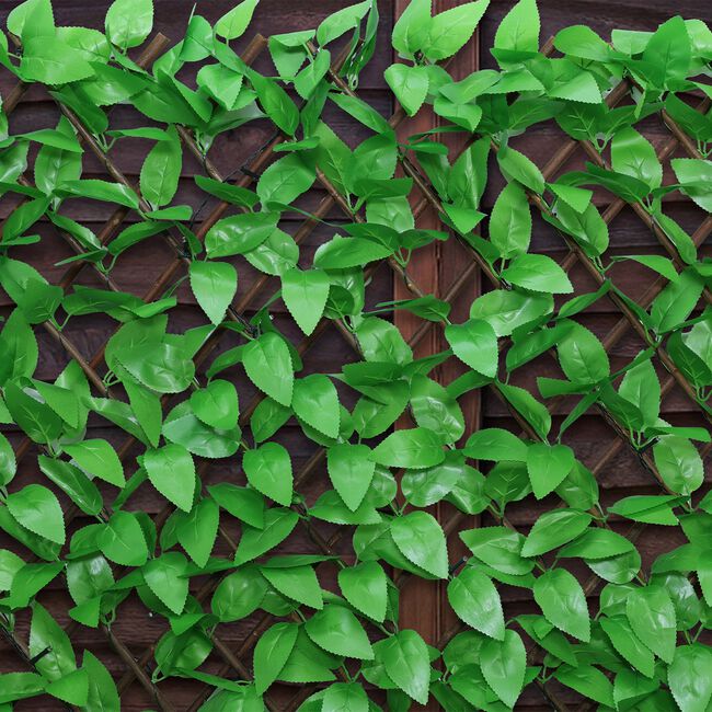 Boxwood Solar Leaf Trellis 2M x 1M