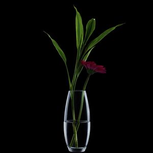 Ravenhead Bullet Vase 23cm