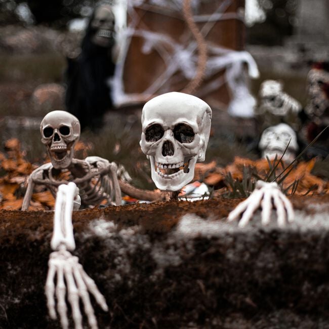 Lifesize Ground Breaking Skeleton