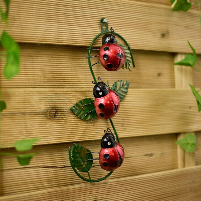 Garden Insect Wall Art 