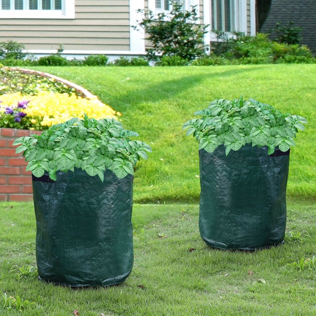 Potato Grow Bags Set of 2
