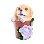 Puppy & Kitten Garden Solar Light