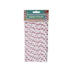 Paper Straws 16 Pack