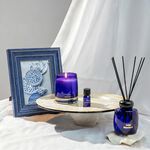 Ambianti Jewel Wild Bluebell Scented Candle
