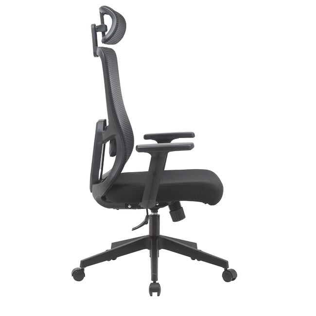 Ergonomic Office Chair