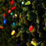 35 LED Novelty Solar String Lights