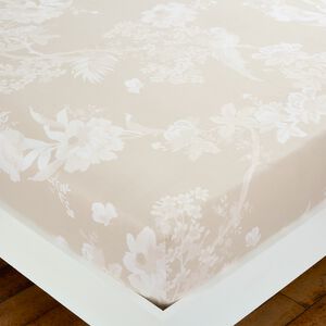 DANAE NATURAL Single Fitted Sheet 