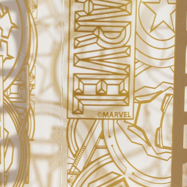 MARVEL GOLDEN TREASURE 850ml Water Bottle